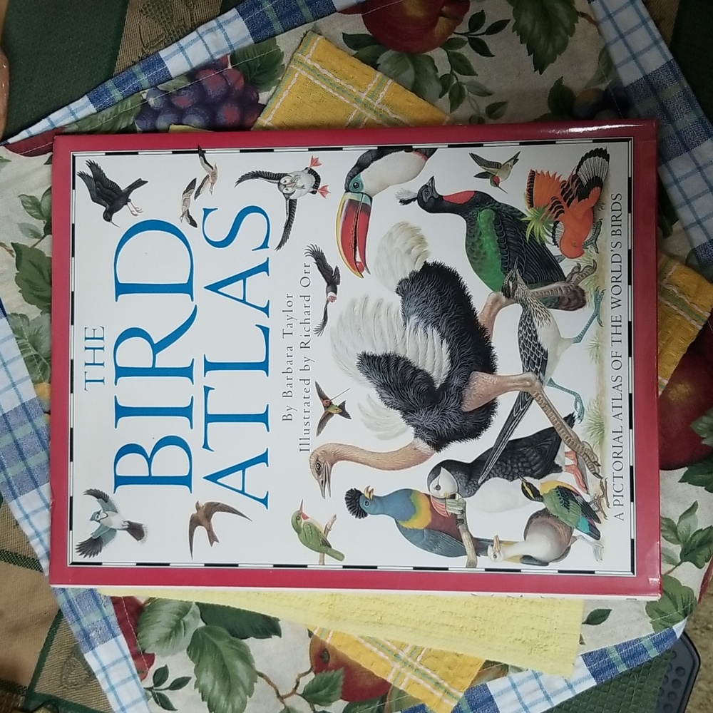 🐦THE BIRD ATLAS